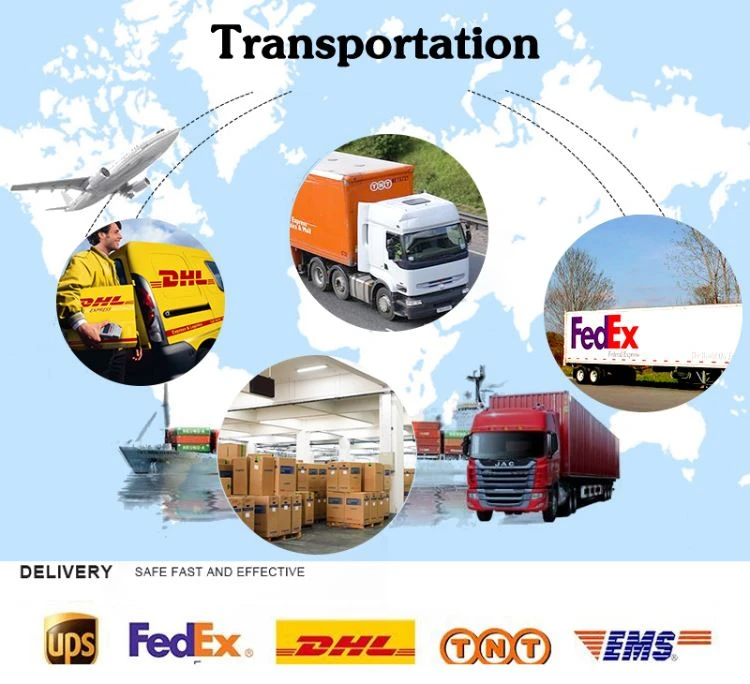 transportation