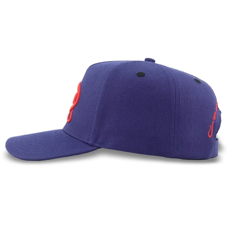 Deep Purple Serpentine Icon Baseball Cap