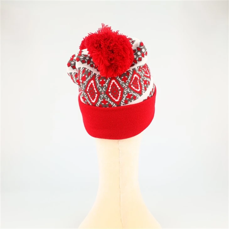 Red Santa Beanie